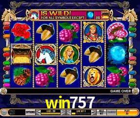 Descubra o Mundo do Cassino Online com win757